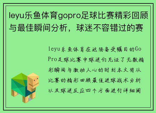 leyu乐鱼体育gopro足球比赛精彩回顾与最佳瞬间分析，球迷不容错过的赛事盛宴